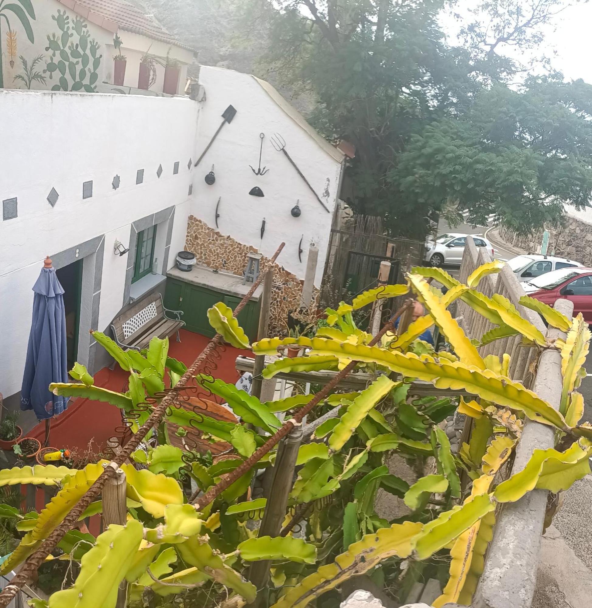 Chalet Juana La Concha Valle De Agaete San Pedro  Dış mekan fotoğraf